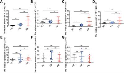 Identification of m6A-Related lncRNAs Associated With Prognoses and Immune Responses in Acute Myeloid Leukemia